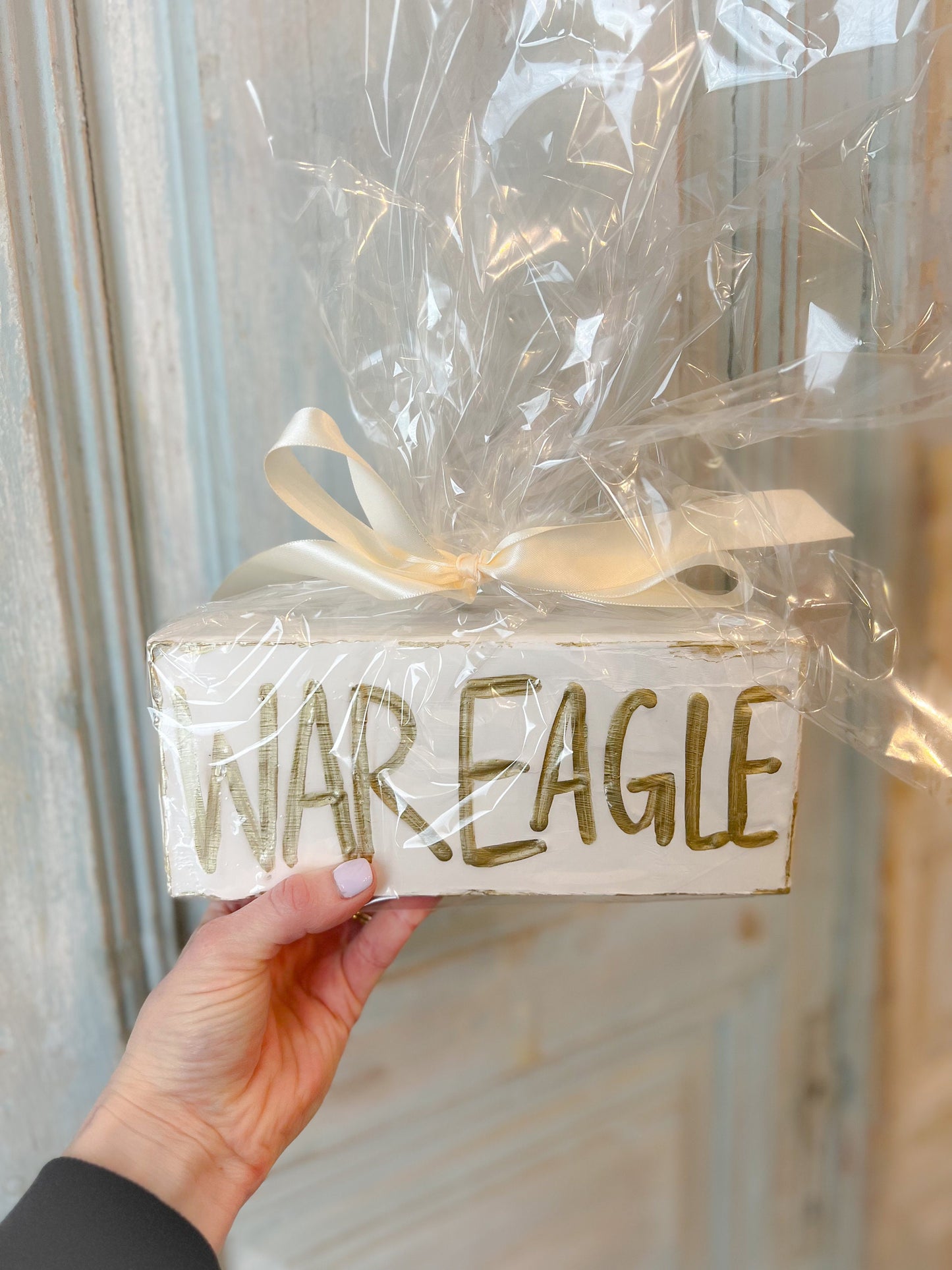 Personalized Hand Painted Gift | Auburn, Alabama | War Eagle | Roll Tide | Tuscaloosa | SEC | Graduation Gift | Sorority Gift | Dorm Gift